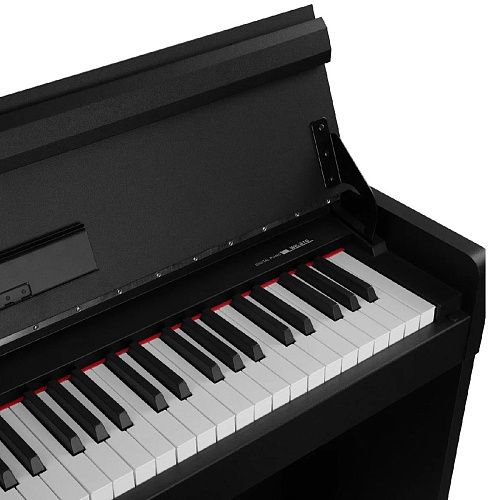 Nux WK-310-Black Цифровое пианино на стойке с педалями.